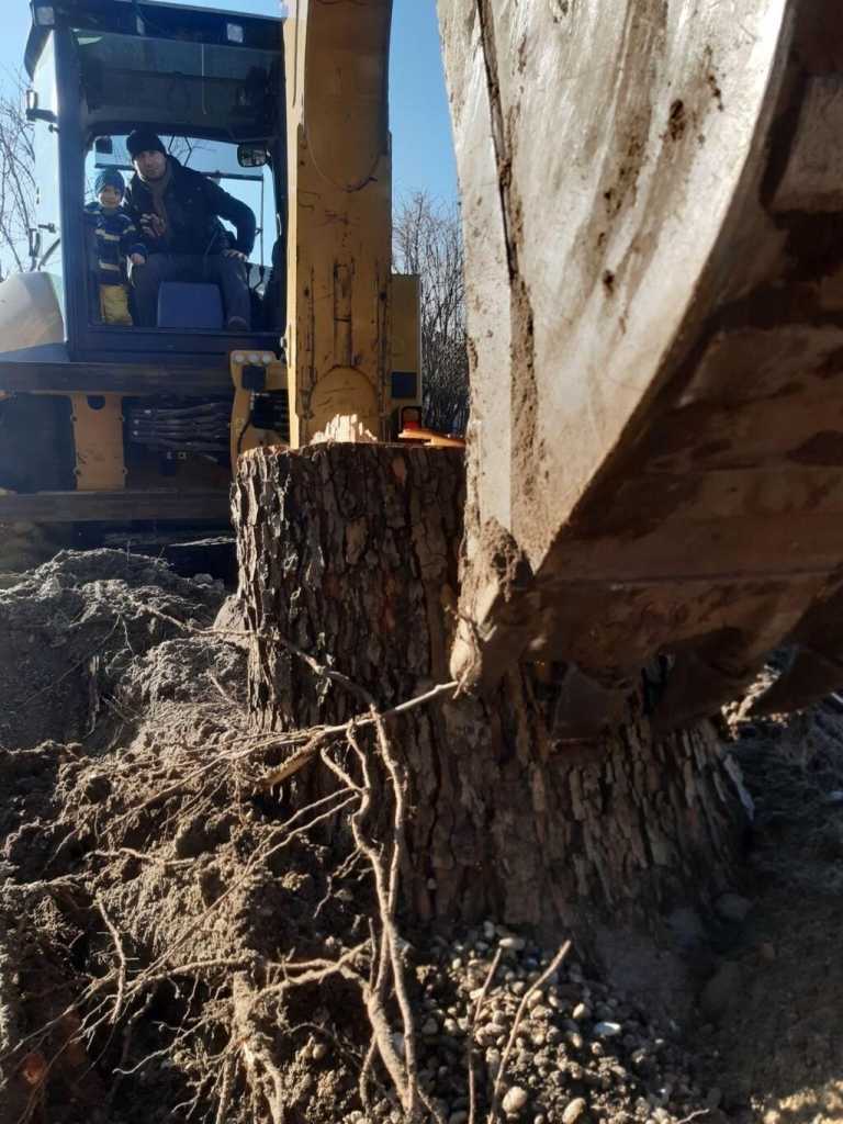 CAT 313