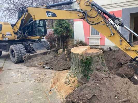 Dabas tusko kiszedes 2